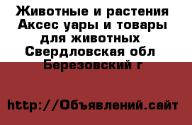 Животные и растения Аксесcуары и товары для животных. Свердловская обл.,Березовский г.